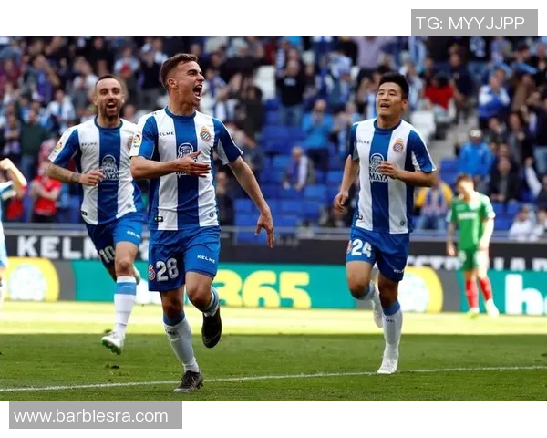 激情对决葡萄牙与西班牙足球赛精彩回顾与分析